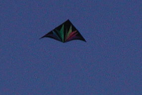 PA315247_edited-1