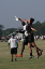 PA285092_edited-1
