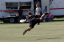 PA305193_edited-1