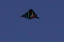 PA315247_edited-1