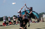 PA315258_edited-1